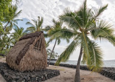 hawaiian hut on the beach clipart