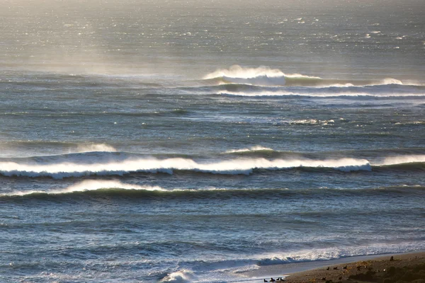 Onde oceaniche atlantiche in Patagonia — Foto Stock