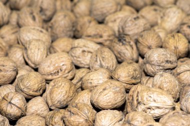 Satılık Market taze fındık