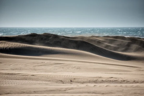 Dunas de arena de playa desierta en día ventoso —  Fotos de Stock