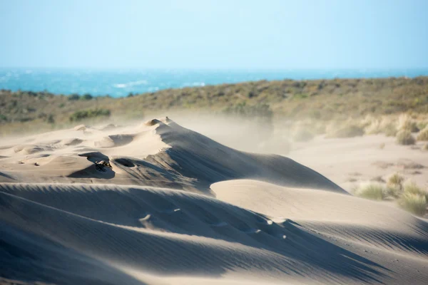 Praia deserto dunas de areia no dia ventoso — Fotografia de Stock