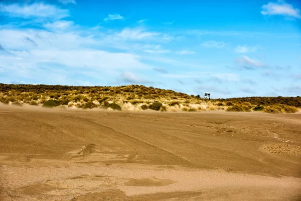 Dunas de arena de playa desierta en día ventoso — Foto de Stock