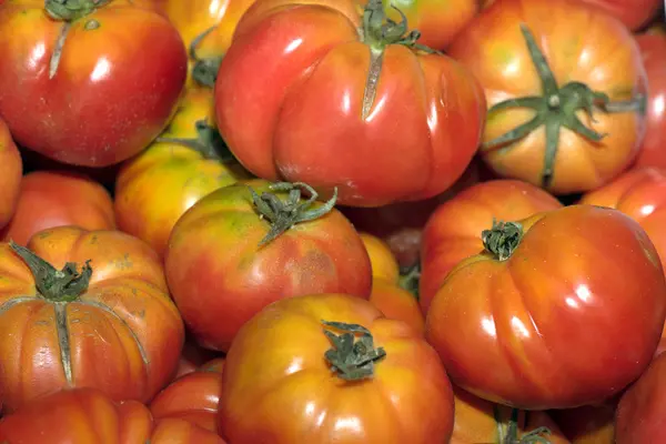 販売市場で新鮮なトマト — ストック写真
