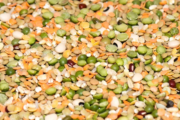 Dried lentils on sale at Market — Stock Photo, Image