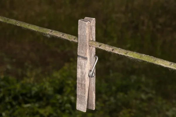 Detalle de la pinza aislada en negro — Foto de Stock