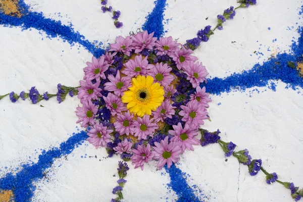 petal and flower carpet for corpus domini christi celebration