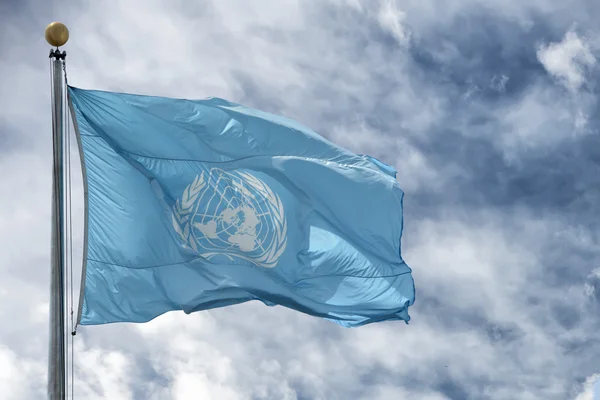 NEW YORK - USA - 11 JUNE 2015 Waving united nations UN flag — 스톡 사진