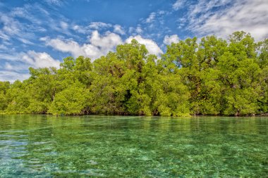 siladen turkuaz tropik cennet Adası