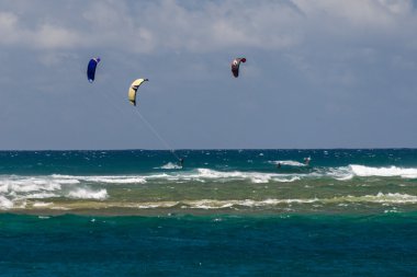 Honolulu, Amerika Birleşik Devletleri - Ağustos, 14 2014 - kitesurf ile hawaii plajda eğlenmek insanlar