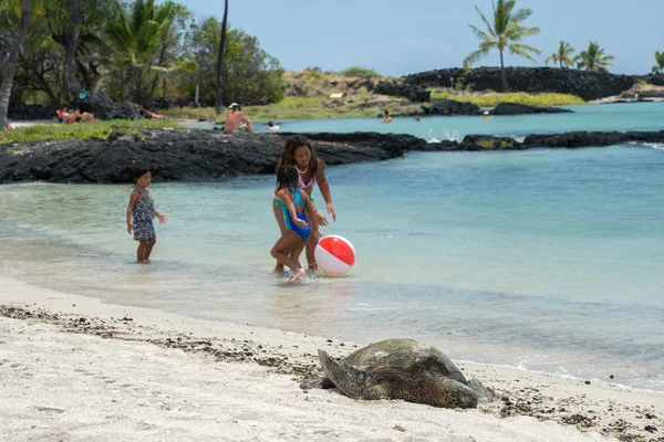 HONOLULU, USA - 14 AGOSTO 2014 - Persone che si divertono alla spiaggia hawaiana — Foto Stock