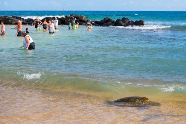 HONOLULU, EUA - 14 de agosto de 2014 - Pessoas se divertindo na praia de hawaii — Fotografia de Stock