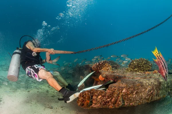 Taucher hält Bootsanker unter Wasser — Stockfoto