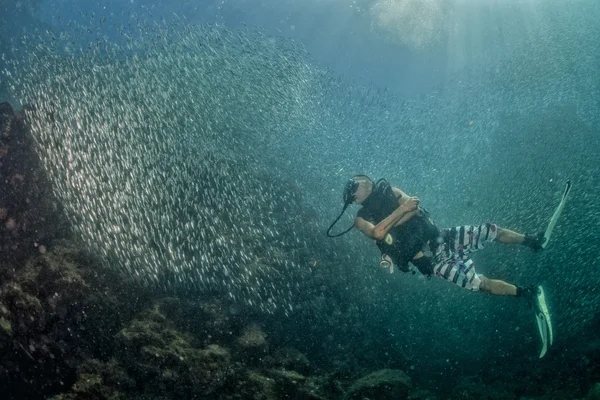 Diver andare all'interno di una scuola di pesci sott'acqua — Foto Stock