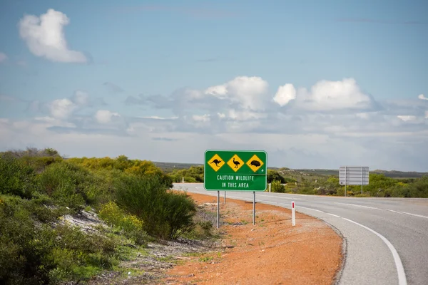 Animais selvagens assinam em West Australia Desert estrada interminável — Fotografia de Stock