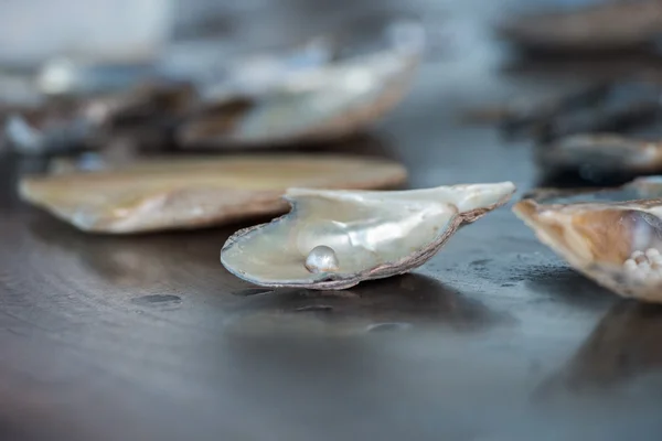 Pearl factory on the sea — Stock Photo, Image