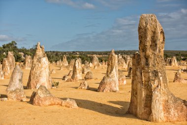 Pinnacles park Batı Avustralya