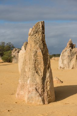 Pinnacles park Batı Avustralya