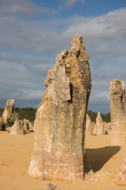 Pinnacles park Batı Avustralya