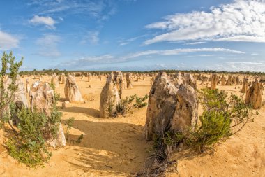 Pinnacles park Batı Avustralya