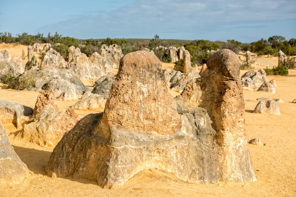 Pináculos parque no oeste da Austrália — Fotografia de Stock