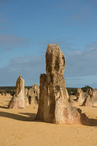 Pinnacles πάρκο στην Δυτική Αυστραλία — Φωτογραφία Αρχείου