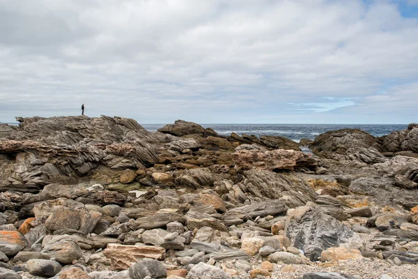 Vivonne bay kangaroo island landscape — Stock Photo, Image