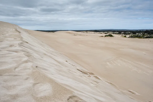 Australia sand dunes into the bush — Stock Photo, Image