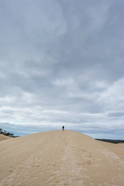 Australia sand dunes into the bush — Stock Photo, Image