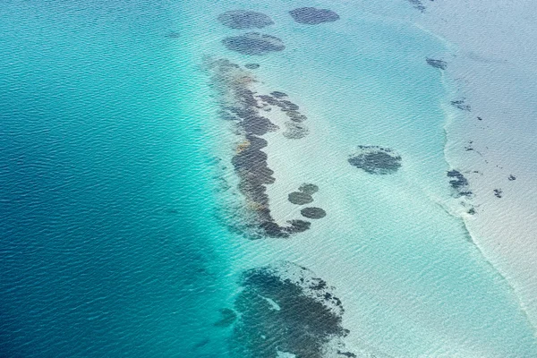 Köpekbalığı defne Avustralya'da mavi okyanus havadan görünümü — Stok fotoğraf