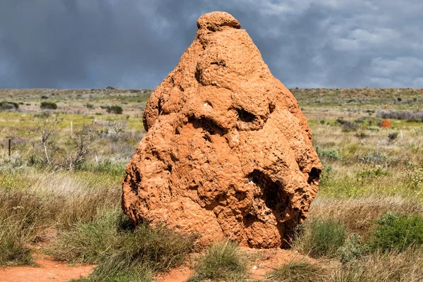 Reuze termitary termieten nesten in Australië — Stockfoto