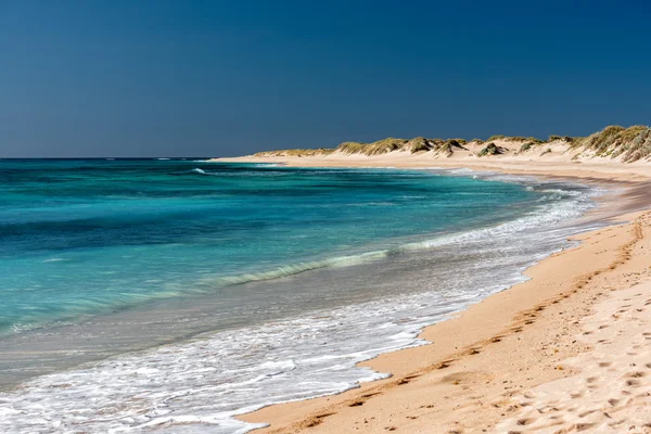 Ningaloo oeste australia paraíso playa: fotografía de stock © izanbar  #85871110 | Depositphotos
