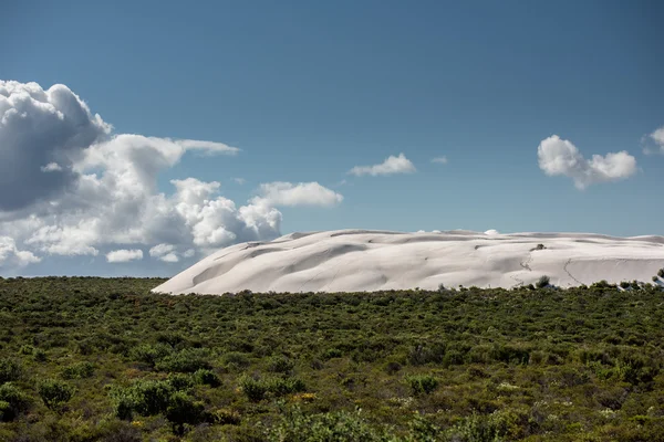 Australia sand dunes into the bush — Stock Photo, Image