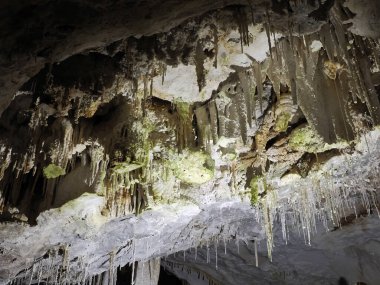 Su manzarası tarafından oyulmuş karst mağaralarının içindeki sarkıtlar ve dikitler üzerindeki yeşil alg bakterileri.