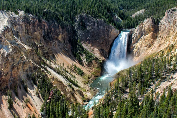 Προβολή φαράγγι Yellowstone με πτώση και ποταμό — Φωτογραφία Αρχείου