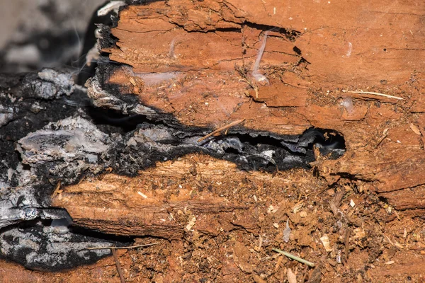 Brasas de madera detalle en chimenea — Foto de Stock