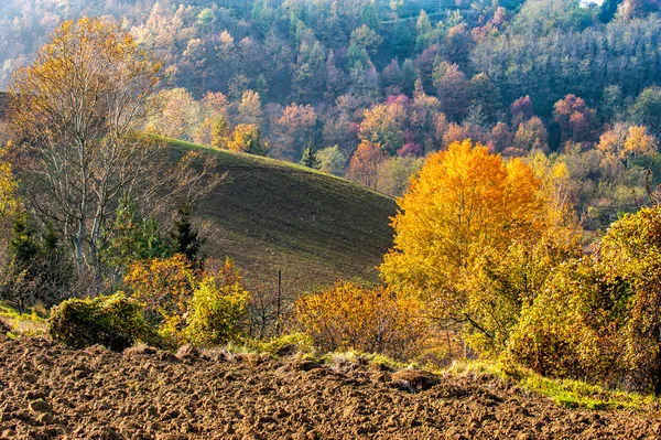 Autumn colors on the hill — Stock Photo, Image