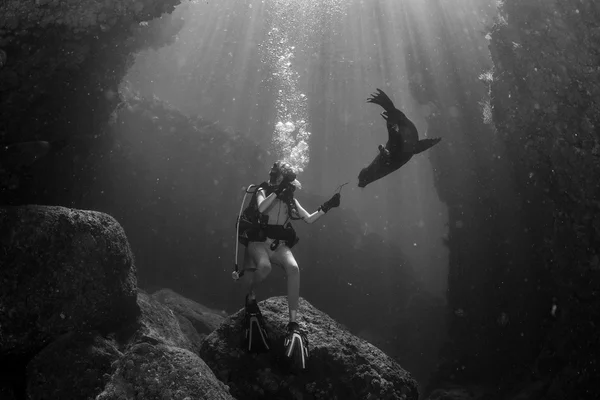 Belle fille blonde jouer avec l'otarie de mer sous l'eau — Photo