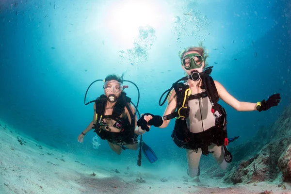 Gyönyörű lányok néztem meg, míg a víz alatti úszás — Stock Fotó