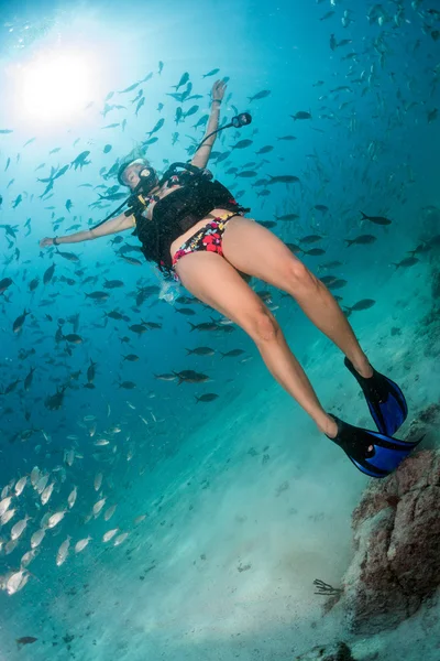 Schöne latina Taucher Mädchen beim Schwimmen unter Wasser — Stockfoto