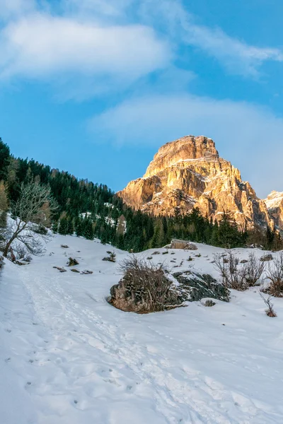 Dolomiterna stora panorama vyn i vinter tid sassongher — Stockfoto