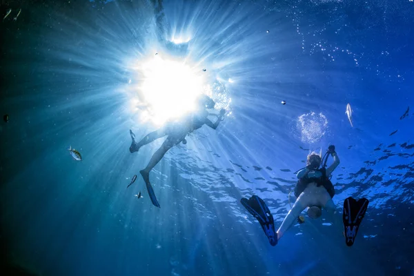 Taucher im Hintergrund von Fischen und Korallenriffen — Stockfoto
