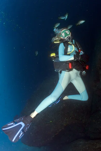 Scuba diver in fish and corals reef background — Stock Photo, Image