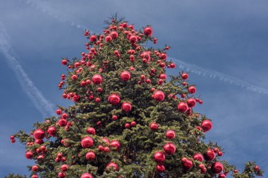 Mavi gökyüzü arka plan üzerinde büyük xmas ağacı