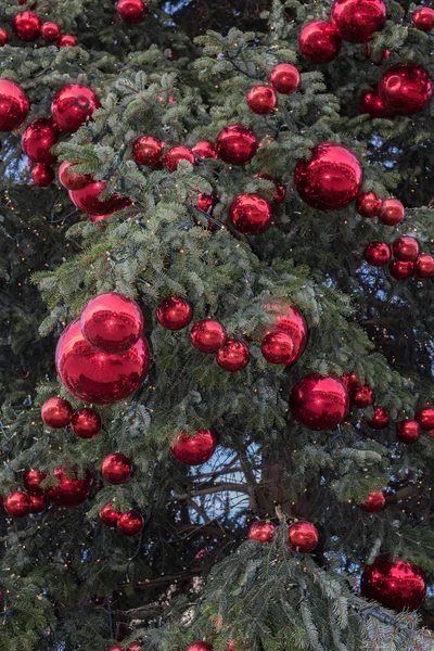 青い空を背景に大きなクリスマス ツリー — ストック写真