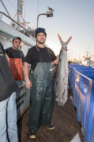 SAN DIEGO, USA - NOVEMBER 17, 2015 - fishing boat unloading tuna at sunrise — Stock Photo, Image