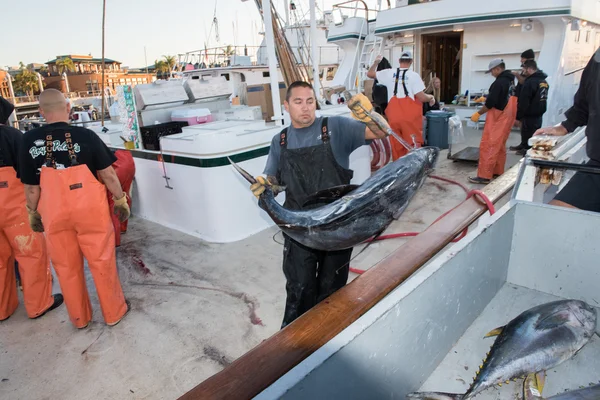 SAN DIEGO, USA - NOVEMBER 17, 2015 - fishing boat unloading tuna at sunrise — Stock Photo, Image