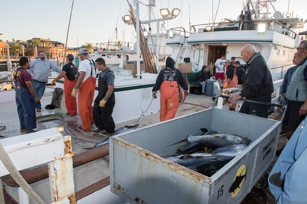 San Diego, Usa - 17. listopadu 2015 - rybářská loď vykládání tuňák při východu slunce — Stock fotografie