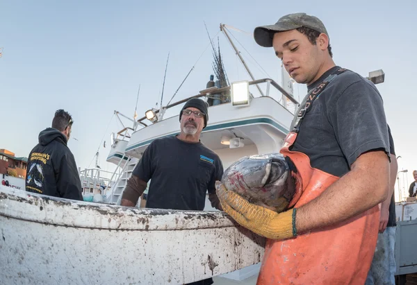 San diego, usa - 17. November 2015 - Fischerboot lädt Thunfisch bei Sonnenaufgang aus — Stockfoto