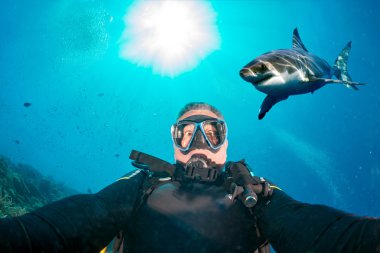 Beyaz köpekbalığı saldırmaya hazır ile sualtı selfie
