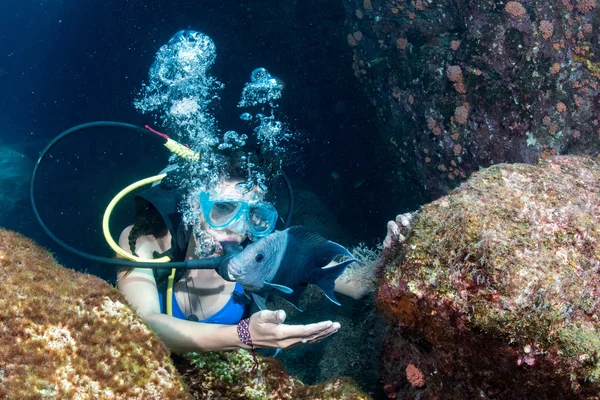 Bela latina mergulhador menina ao tocar um peixe — Fotografia de Stock